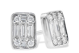 A318-74358: EARR .19 BAG .30 TW